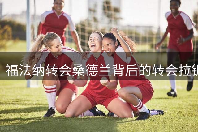 福法纳转会桑德兰背后的转会拉锯战