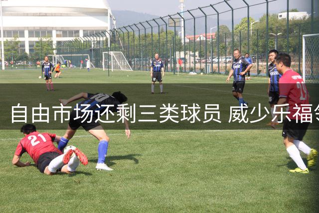 自由市场还剩三类球员 威少乐福领衔失业大军？
